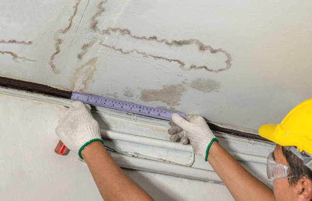 Reliable Structural Drying contractor in West Chesterfield, MA by Water Damage Irwin